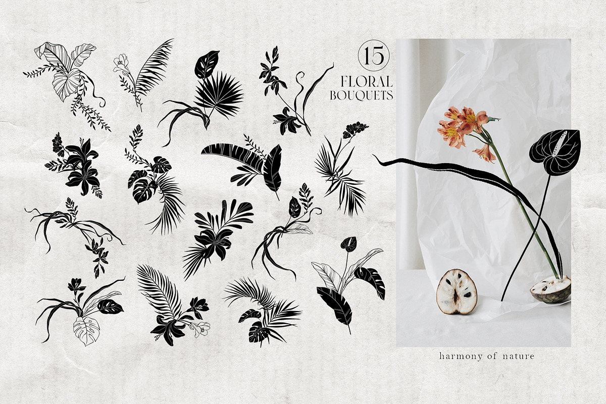 EXOTIC Graphics and animated stories, an Animal Illustration by Anastezia Luneva (Photo 8 of 11)