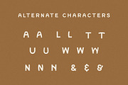 Masaro Nostalgic Display, a Sans Serif Font by Daniel Neuman (Thumbnail 3 of 10)