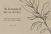 Botanical line art sketches, a Decorative Illustration by Madiwaso (Thumbnail 6 of 6)