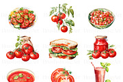 Watercolor Tomato Clipart, Vegetable, a Food Illustration by BrushstrokeArtGB (Thumbnail 2 of 9)
