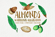 Almonds Watercolors Illustration, an Illustration by andypray (Thumbnail 2 of 5)