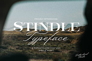 Stindle Organic Font Duo, a Script Font by Letterhend Studio (Thumbnail 1 of 10)