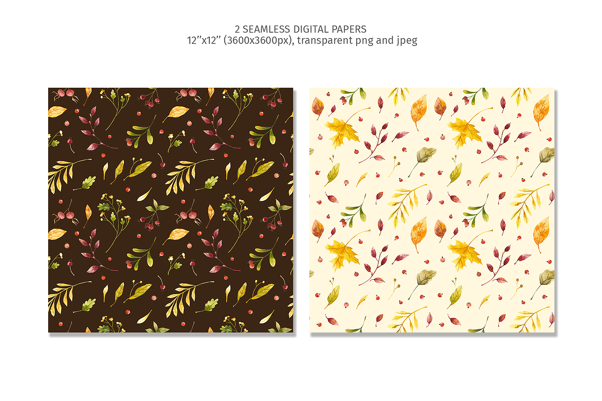 Fall Clipart, Patterns, Frames, an Object Graphic by Valin Malin (Photo 3 of 7)