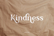 Ambigue Wild Modern x Vintage Serif, a Serif Font by Wandery Supply (Thumbnail 15 of 22)