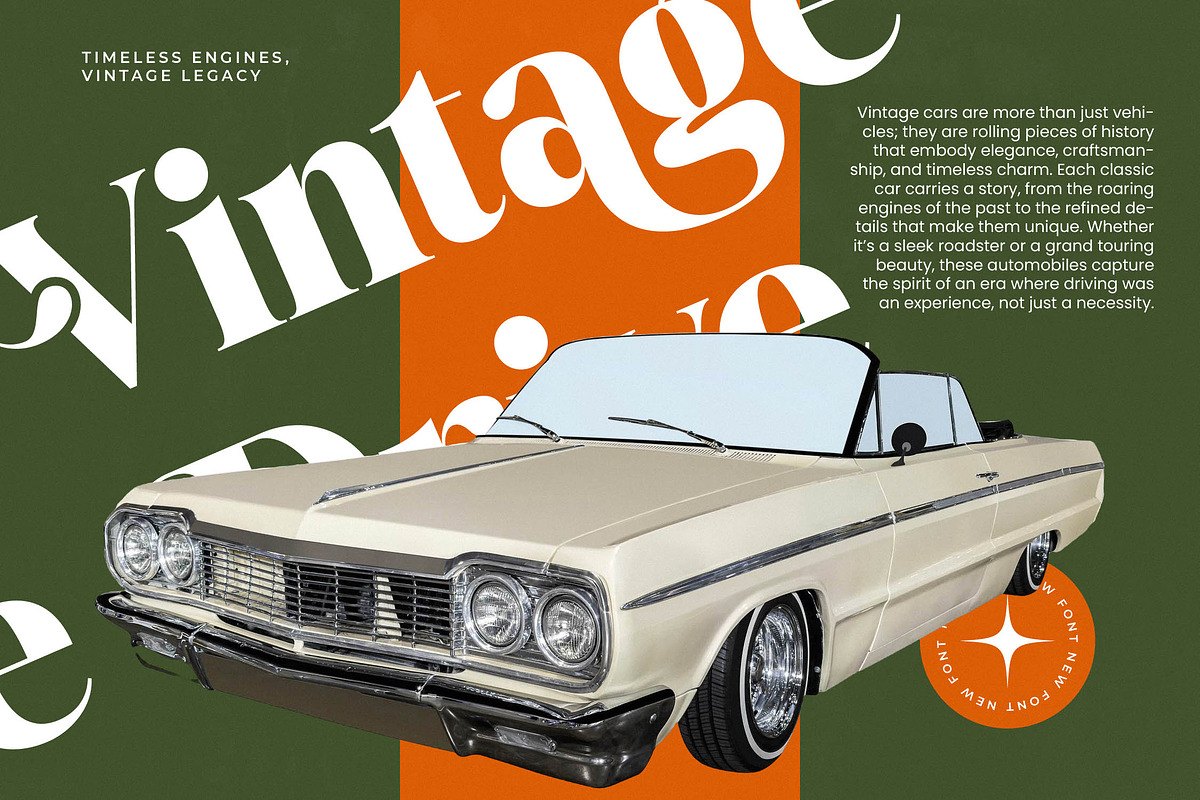 Mango Jungle Modern Bold Serif, a Serif Font by timelesstype.co (Photo 11 of 20)