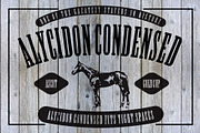 Alicydon Condensed Woodblock Font, a Slab Serif Font by Kitch22 Foundry (Thumbnail 2 of 3)