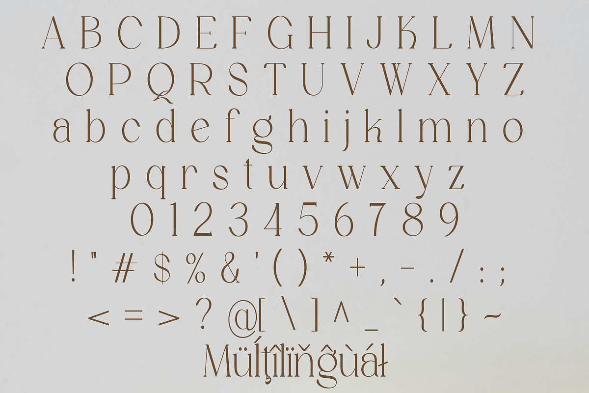 Stivra – Serif Font Family, a Serif Font by NDNL Studio (Photo 9 of 11)