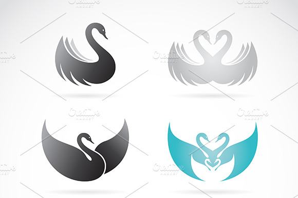 Vector Set Of Swan Design. Animals.