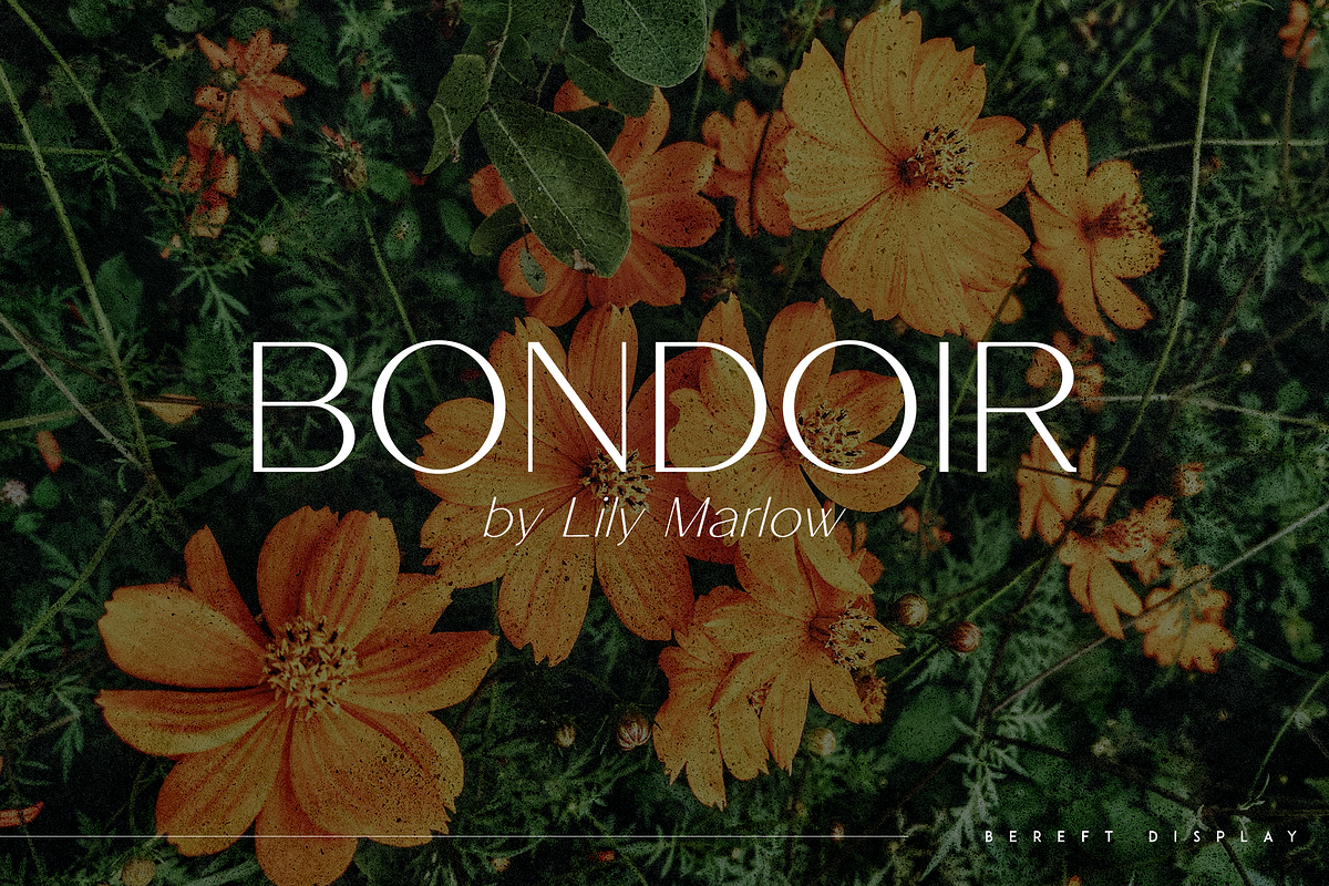 Bereft - Display Typeface, a Font by Only Fonts (Photo 2 of 10)