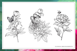 Fragrant Peonies. Vector Set