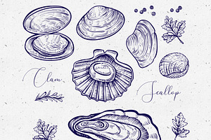 Vector Sketch Of Shellfish & Oysters