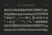 CS Berish – Psychedelic Font, a Serif Font by Craft Supply Co. (Thumbnail 8 of 8)