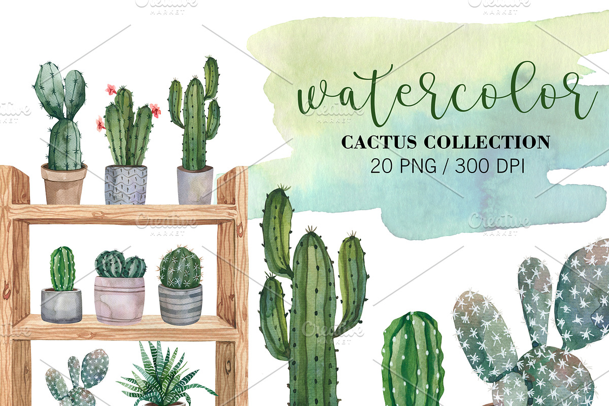 Watercolor Cactus Clipart PNG, an Object Illustration by PatternPalette (Photo 3 of 3)