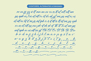 Clesha Halgestine Modern Calligraphy, a Script Font by Letterena Studios Script (Thumbnail 19 of 20)