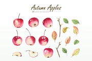Autumn Apples, a Decorative Illustration by oKOLOstyle (Thumbnail 4 of 6)