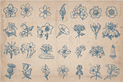 205 Floral Objects, an Object Graphic by Mr Vintage (Thumbnail 2 of 5)