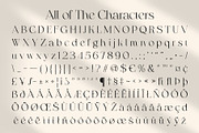 Raena Rough, a Serif Font by Craft Supply Co. (Thumbnail 8 of 8)