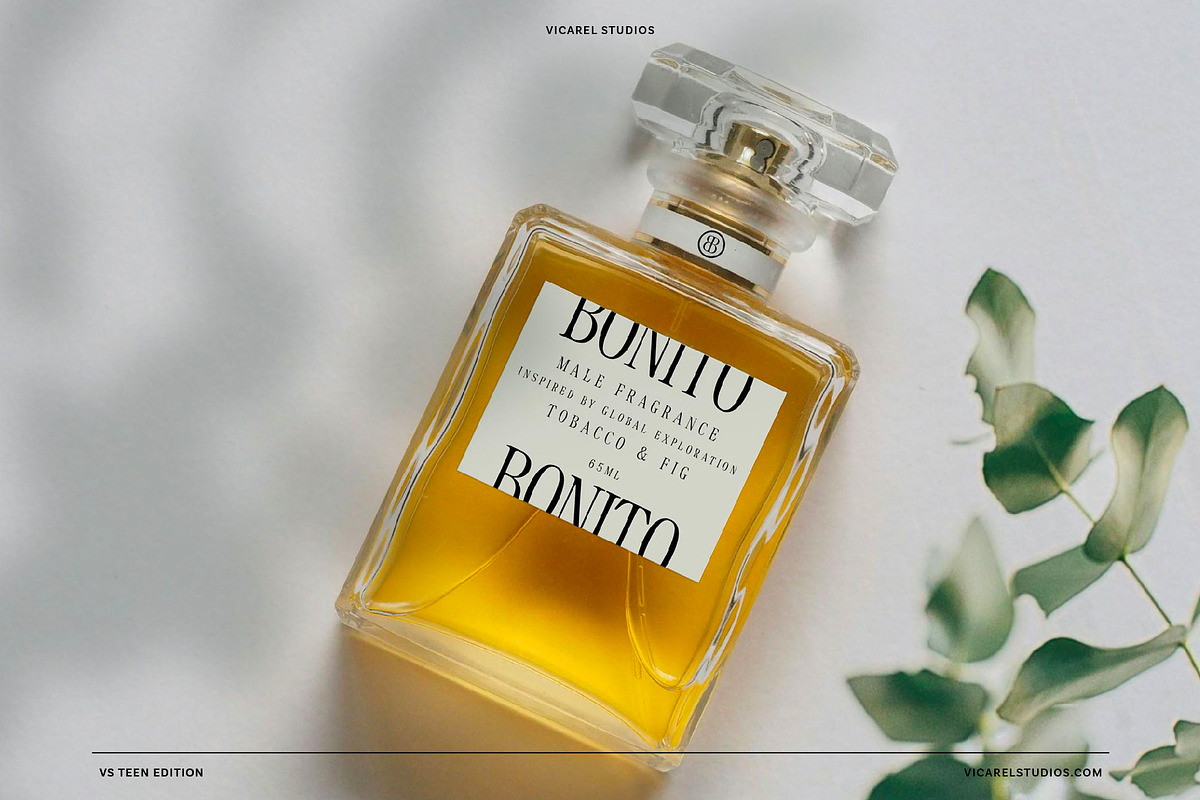 VS Teen Edition – Retro Serif Font, a Serif Font by Vicarel Studios (Photo 3 of 21)
