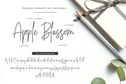 Belmont Script - 54 Ligatures!, a Script Font by Greg Nicholls (Thumbnail 3 of 11)