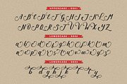 Keythal - a modern script, a Script Font by Beautypes (Thumbnail 6 of 7)