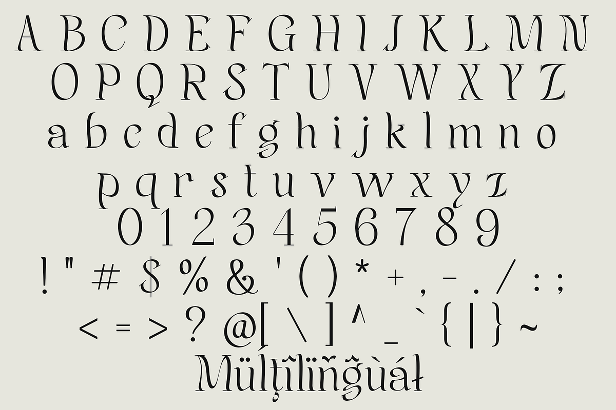 Jelvion – Serif Font, a Serif Font by NDNL Studio (Photo 10 of 12)