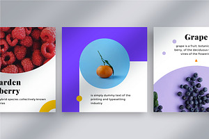 Fruit Social Media Kit 02