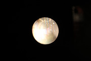 10 Projector Bulb Textures, a Texture Graphic by Studio Rho (Thumbnail 2 of 11)