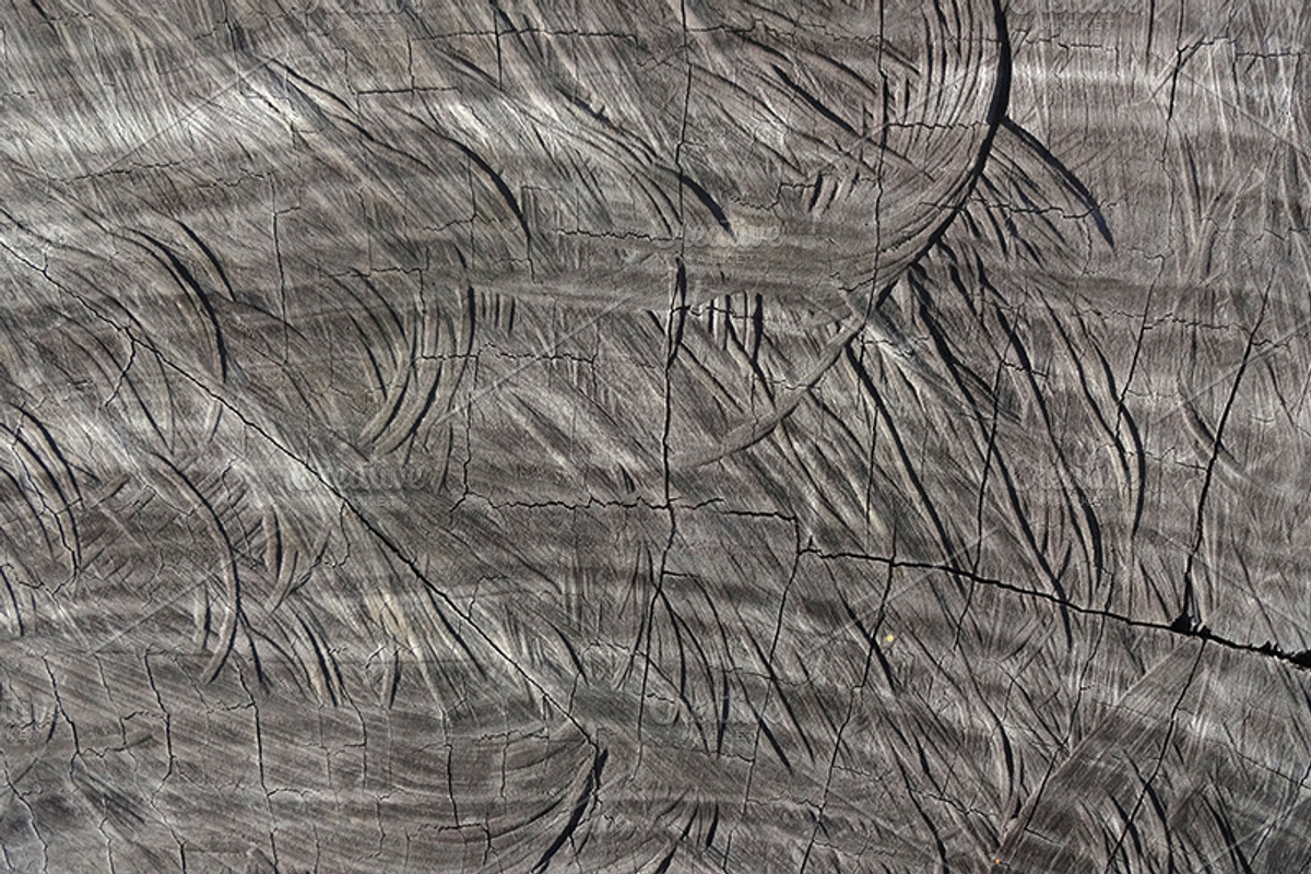 20 Tree End Textures preview 4