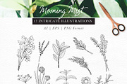 Morning Mist - Herb Collection, a Decorative Illustration by Momo Studio (Thumbnail 14 of 18)