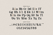 Conie Maovel - Elegant Serif Font, a Serif Font by Imoodev (Thumbnail 5 of 5)