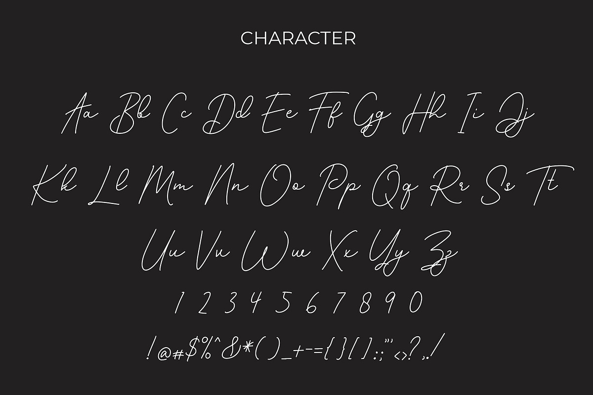 Roshayati Modern Calligraphy Font preview 3