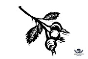 Feathered Friends Linocuts, an Illustration by WhiteRiverStudio (Thumbnail 9 of 10)