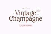 VINTAGE CHAMPAGNE Modern Serif Font, a Serif Font by Blush Font Co. (Thumbnail 1 of 9)