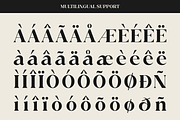 Ethereal Glamour - The Elegant Serif, a Serif Font by Say Studio (Thumbnail 12 of 12)