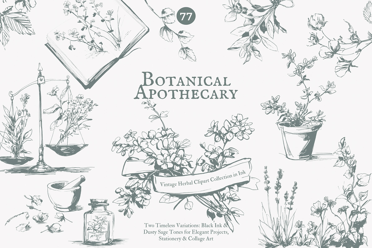 apothecary clipart vintage collectio, a Decorative Illustration by Patishop Art (Photo 1 of 10)