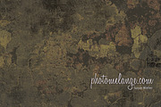 Photomelange Bushed Textures 12 x 16 preview 4