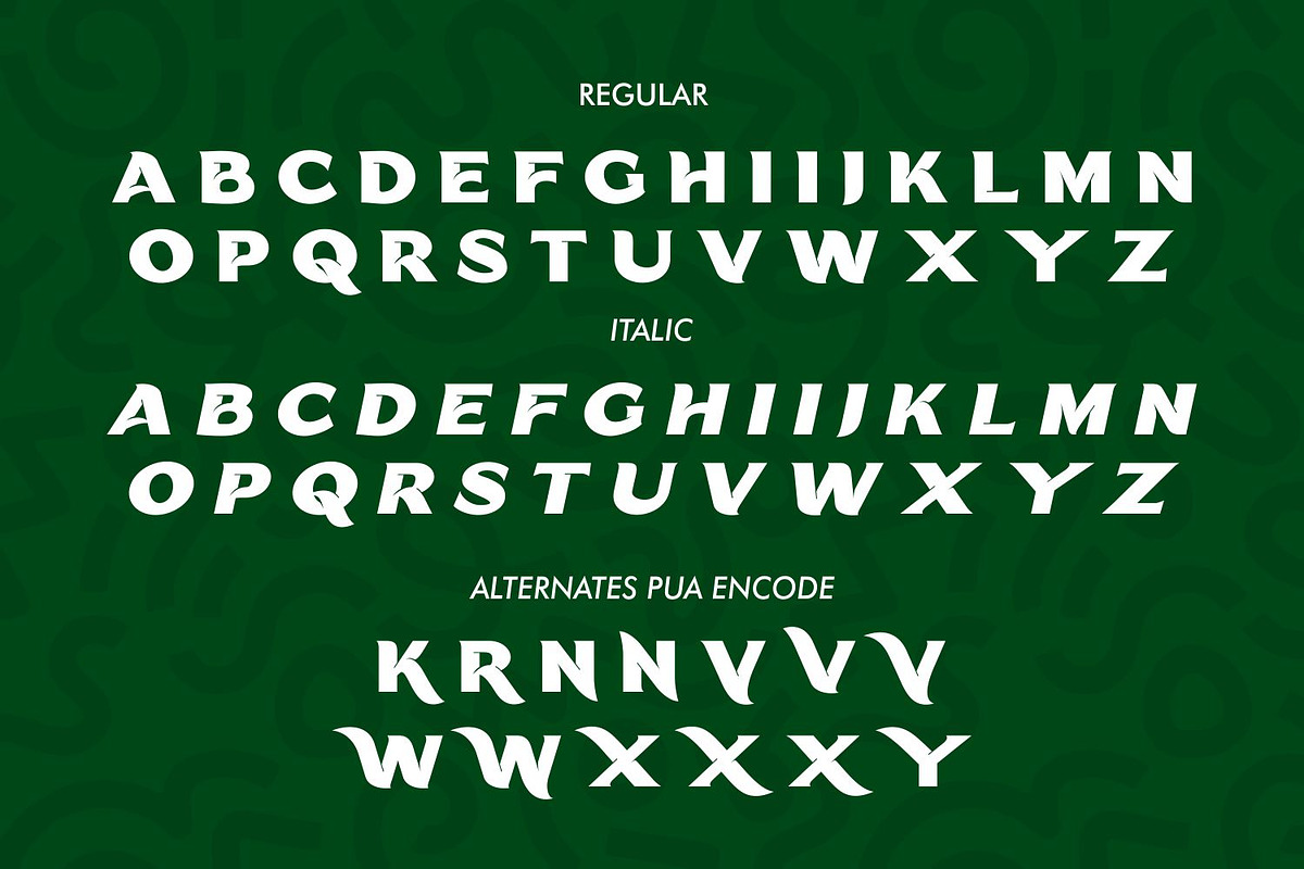 CARNIS Font - Bold Decorative Sans, a Slab Serif Font by WhymoreArt (Photo 10 of 11)