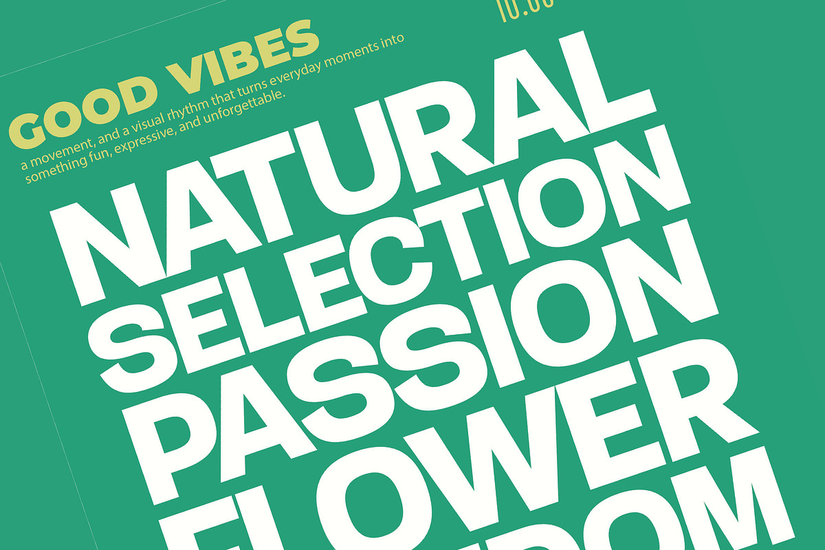 Gesty Ratio Modern Display Font, a Sans Serif Font by timelesstype.co (Photo 3 of 20)