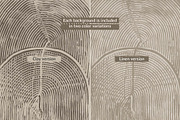 Imprint lines - Organic textures, a Texture Graphic by DigARTbyHavroshka (Thumbnail 6 of 17)
