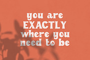 Retro Vibes | Vintage Bold Font, a Sans Serif Font by Anna Zakharchenko (Thumbnail 9 of 21)
