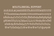 Vegelinu - Slab Display Family, a Slab Serif Font by Differentialtype (Thumbnail 12 of 12)