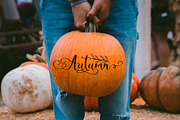 Beauty Youth. Lovely Script, a Script Font by CallMeStasia (Thumbnail 11 of 21)