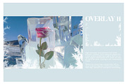 Ice Frost Overlays, a Texture Graphic by Kaleriia (Thumbnail 12 of 17)