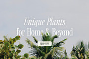 Sailing Club | Nostalgic Serif, a Serif Font by Jen Wagner Co (Thumbnail 13 of 22)