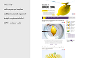 Lemon retina PSD blog template, a Websites & App Template by Knofe (Thumbnail 1 of 2)