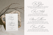 Rockgraphy, a Script Font by Silverdav (Thumbnail 12 of 13)