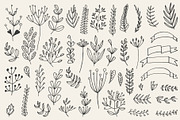 46 hand drawn floral elements, a Decorative Illustration by pixelwerk (Thumbnail 3 of 3)