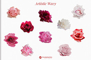 Modern Renaissance Florals, a Graphic by Youandigraphics (Thumbnail 11 of 13)