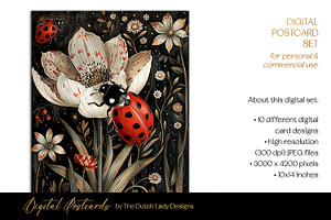 Red White Botanical Bugs Postcards