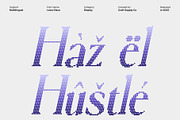 Lecia Disco, a Serif Font by Craft Supply Co. (Thumbnail 6 of 8)